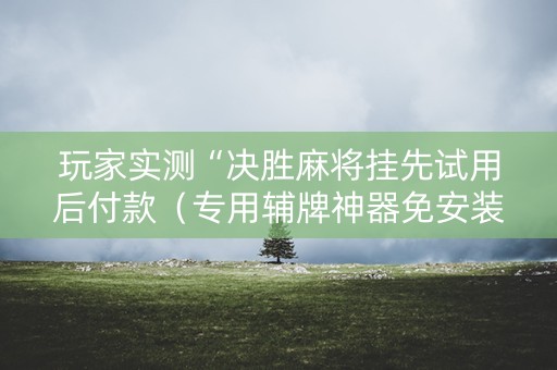 玩家实测“决胜麻将挂先试用后付款（专用辅牌神器免安装）