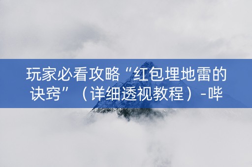 玩家必看攻略“红包埋地雷的诀窍”（详细透视教程）-哔哩哔哩