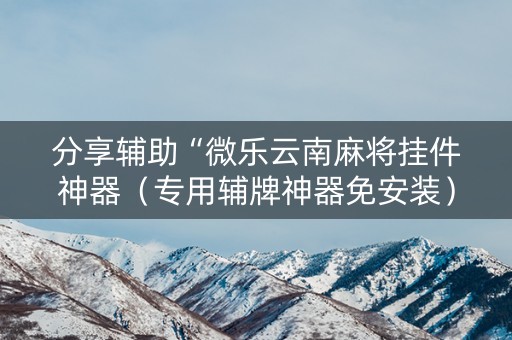 分享辅助“微乐云南麻将挂件神器（专用辅牌神器免安装）