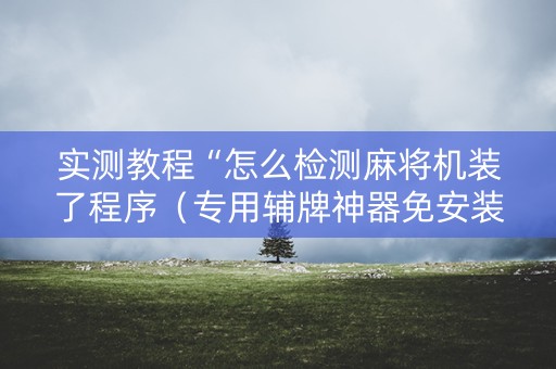 实测教程“怎么检测麻将机装了程序（专用辅牌神器免安装）