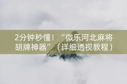 2分钟秒懂！“微乐河北麻将胡牌神器”（详细透视教程）-哔哩哔哩