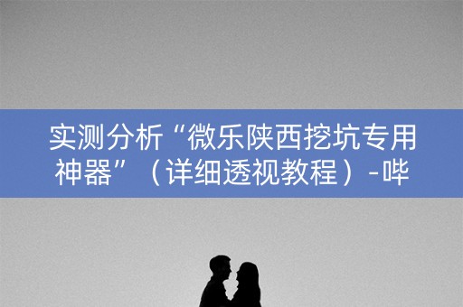 实测分析“微乐陕西挖坑专用神器”（详细透视教程）-哔哩哔哩