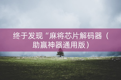 终于发现“麻将芯片解码器（助赢神器通用版）