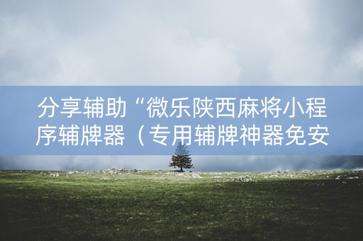 分享辅助“微乐陕西麻将小程序辅牌器（专用辅牌神器免安装）