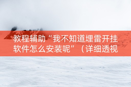 教程辅助“我不知道埋雷开挂软件怎么安装呢”（详细透视教程）-哔哩哔哩