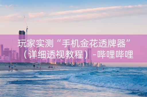 玩家实测“手机金花透牌器”（详细透视教程）-哔哩哔哩