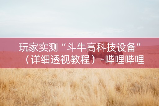 玩家实测“斗牛高科技设备”（详细透视教程）-哔哩哔哩