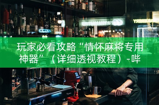 玩家必看攻略“情怀麻将专用神器”（详细透视教程）-哔哩哔哩