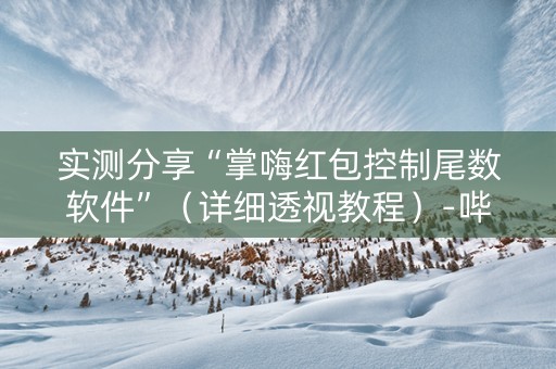 实测分享“掌嗨红包控制尾数软件”（详细透视教程）-哔哩哔哩