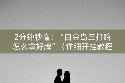 2分钟秒懂！“白金岛三打哈怎么拿好牌”（详细开挂教程）-哔哩哔哩