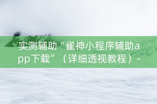实测辅助“雀神小程序辅助app下载”（详细透视教程）-哔哩哔哩