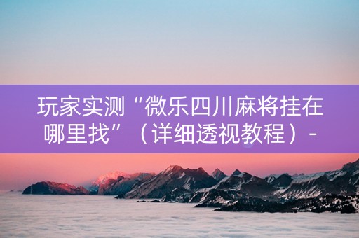 玩家实测“微乐四川麻将挂在哪里找”（详细透视教程）-哔哩哔哩