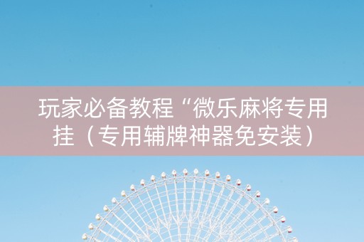 玩家必备教程“微乐麻将专用挂（专用辅牌神器免安装）