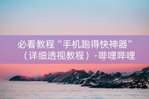 必看教程“手机跑得快神器”（详细透视教程）-哔哩哔哩