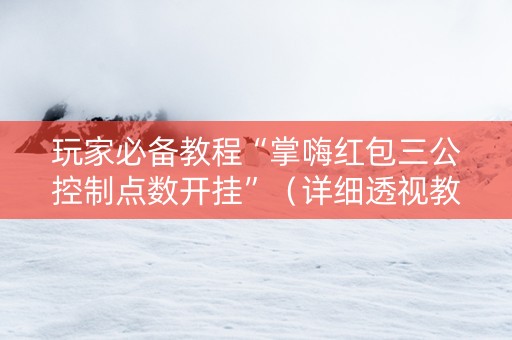 玩家必备教程“掌嗨红包三公控制点数开挂”（详细透视教程）-哔哩哔哩