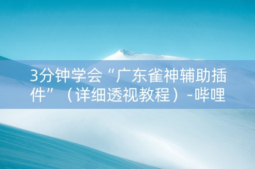 3分钟学会“广东雀神辅助插件”（详细透视教程）-哔哩哔哩