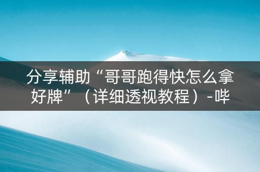 分享辅助“哥哥跑得快怎么拿好牌”（详细透视教程）-哔哩哔哩