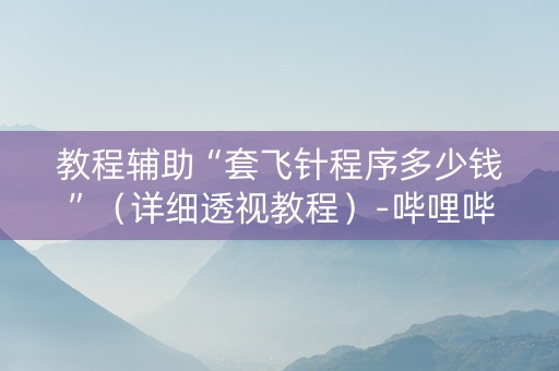 教程辅助“套飞针程序多少钱”（详细透视教程）-哔哩哔哩