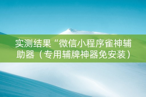 实测结果“微信小程序雀神辅助器（专用辅牌神器免安装）