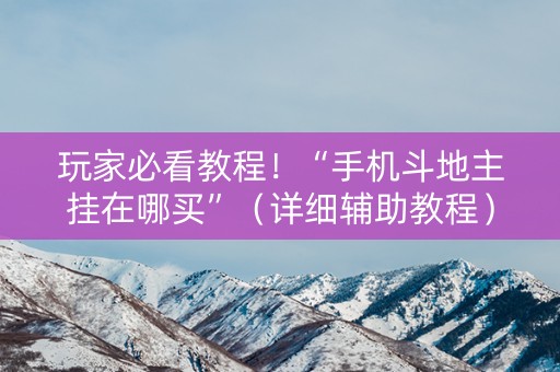 玩家必看教程！“手机斗地主挂在哪买”（详细辅助教程）-哔哩哔哩