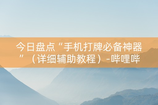 今日盘点“手机打牌必备神器”（详细辅助教程）-哔哩哔哩