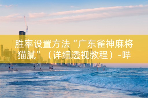 胜率设置方法“广东雀神麻将猫腻”（详细透视教程）-哔哩哔哩