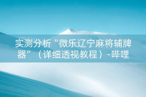 实测分析“微乐辽宁麻将辅牌器”（详细透视教程）-哔哩哔哩