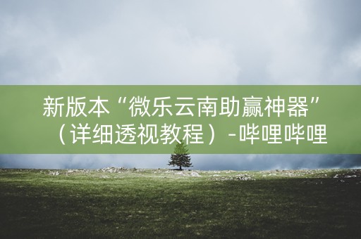 新版本“微乐云南助赢神器”（详细透视教程）-哔哩哔哩