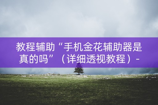 教程辅助“手机金花辅助器是真的吗”（详细透视教程）-哔哩哔哩