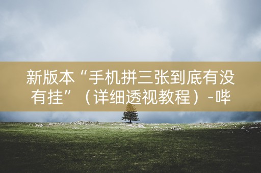 新版本“手机拼三张到底有没有挂”（详细透视教程）-哔哩哔哩