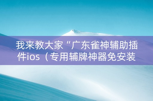 我来教大家“广东雀神辅助插件ios（专用辅牌神器免安装）