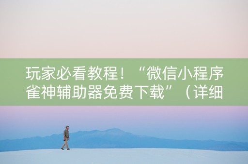 玩家必看教程！“微信小程序雀神辅助器免费下载”（详细辅助教程）-哔哩哔哩