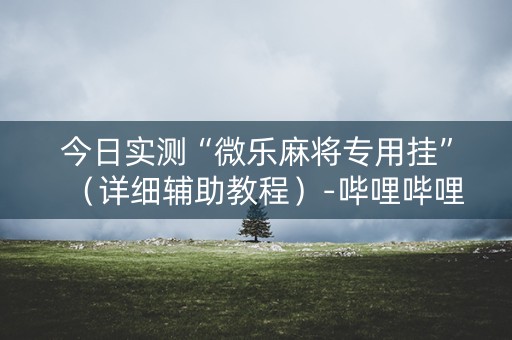 今日实测“微乐麻将专用挂”（详细辅助教程）-哔哩哔哩