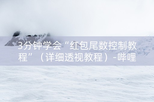 3分钟学会“红包尾数控制教程”（详细透视教程）-哔哩哔哩