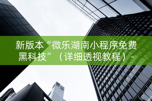 新版本“微乐湖南小程序免费黑科技”（详细透视教程）-哔哩哔哩