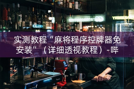 实测教程“麻将程序控牌器免安装”（详细透视教程）-哔哩哔哩