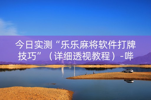今日实测“乐乐麻将软件打牌技巧”（详细透视教程）-哔哩哔哩