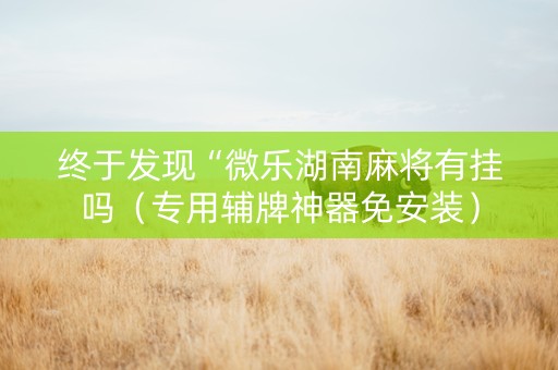 终于发现“微乐湖南麻将有挂吗（专用辅牌神器免安装）