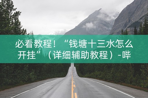 必看教程！“钱塘十三水怎么开挂”（详细辅助教程）-哔哩哔哩