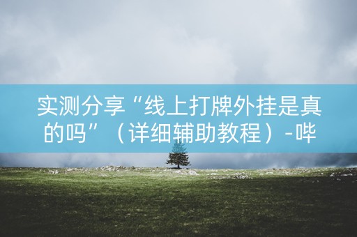 实测分享“线上打牌外挂是真的吗”（详细辅助教程）-哔哩哔哩