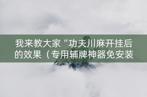 我来教大家“功夫川麻开挂后的效果（专用辅牌神器免安装）