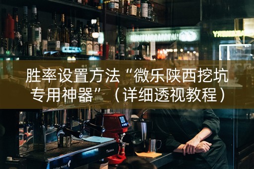 胜率设置方法“微乐陕西挖坑专用神器”（详细透视教程）-哔哩哔哩