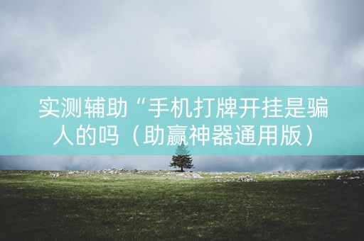 实测辅助“手机打牌开挂是骗人的吗（助赢神器通用版）