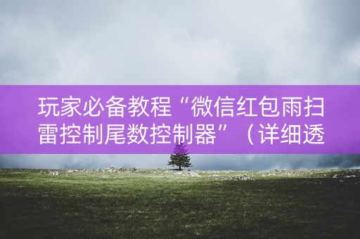 玩家必备教程“微信红包雨扫雷控制尾数控制器”（详细透视教程）-哔哩哔哩
