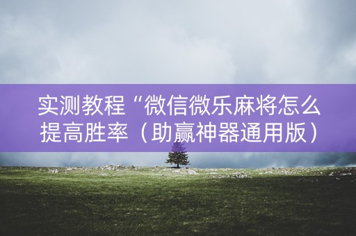 实测教程“微信微乐麻将怎么提高胜率（助赢神器通用版）