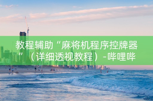 教程辅助“麻将机程序控牌器”（详细透视教程）-哔哩哔哩