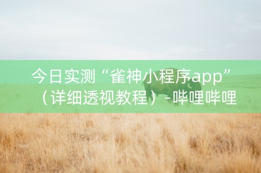 今日实测“雀神小程序app”（详细透视教程）-哔哩哔哩