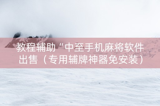 教程辅助“中至手机麻将软件出售（专用辅牌神器免安装）