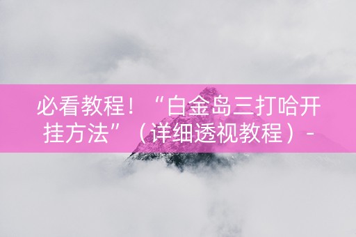 必看教程！“白金岛三打哈开挂方法”（详细透视教程）-哔哩哔哩