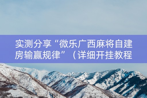 实测分享“微乐广西麻将自建房输赢规律”（详细开挂教程）-哔哩哔哩